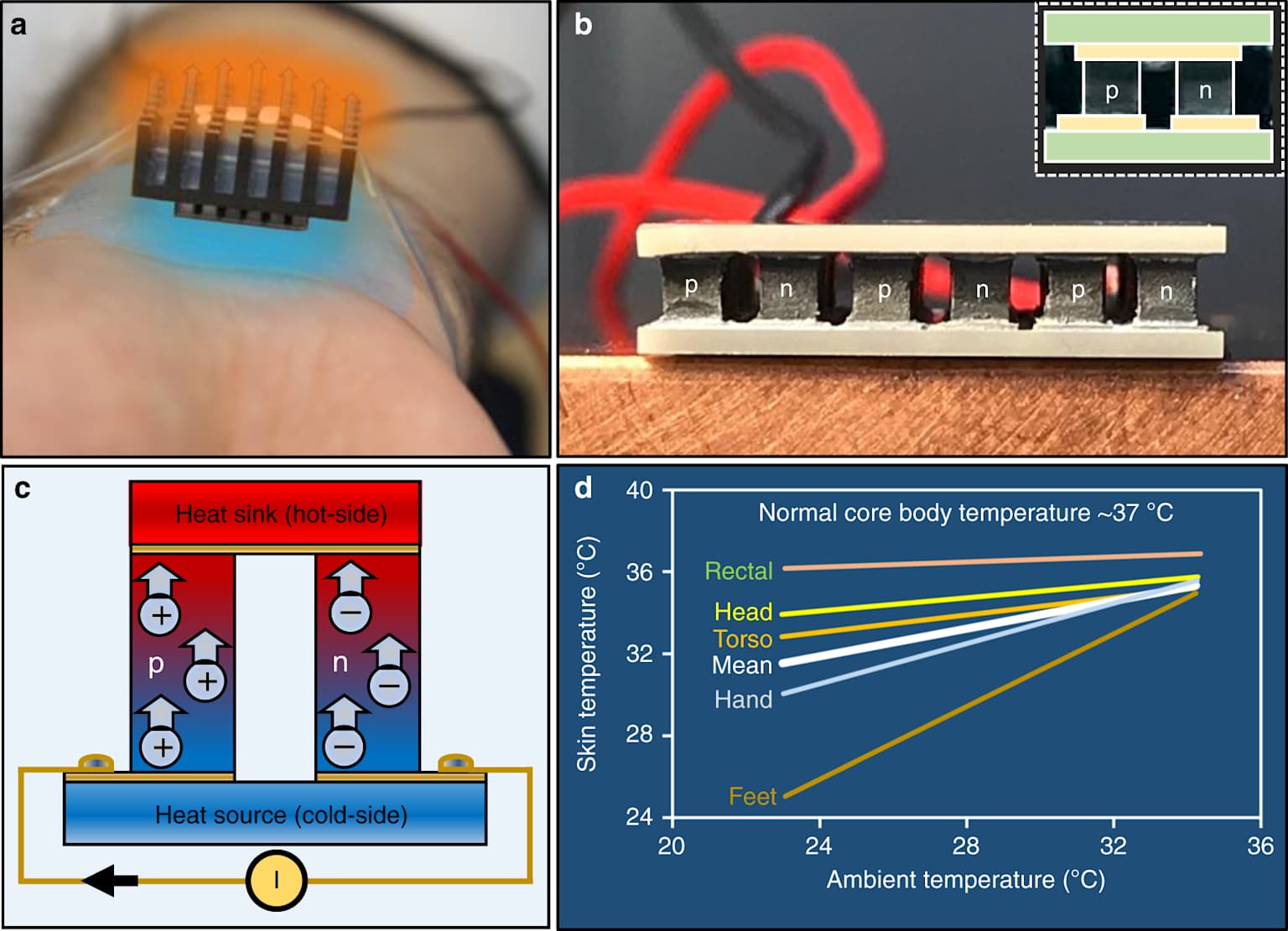 Thermoelectric cooler diagram illustrating function and temperature effects on the body
