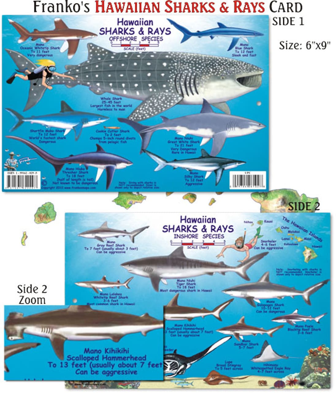 Hawaiian Sharks and Rays Identification Card