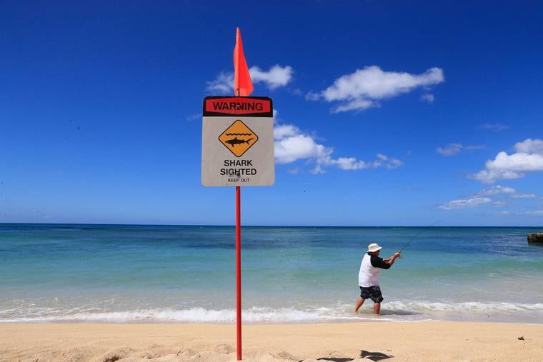 A Shark Warning Sign on a Hawaiian Beach