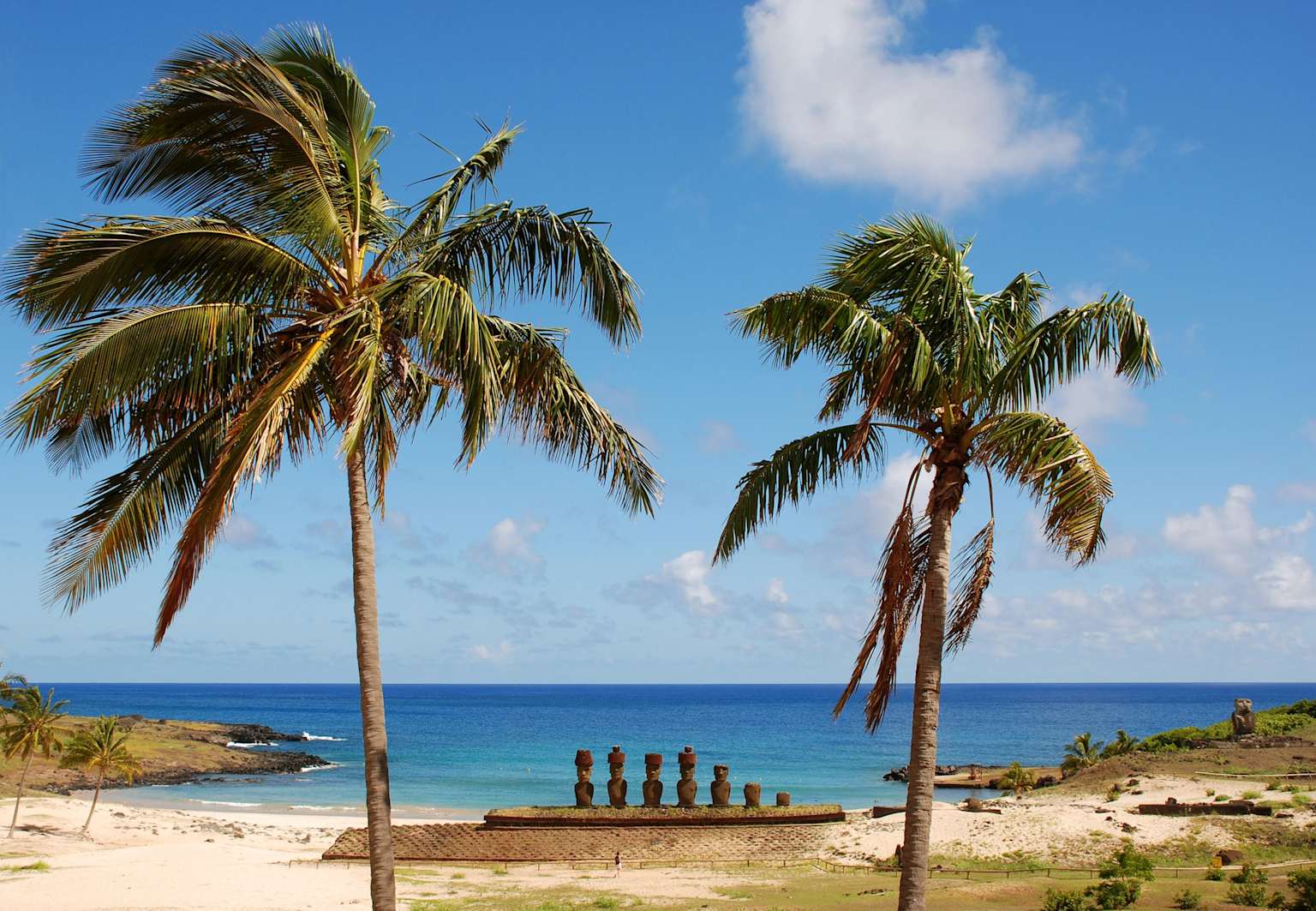 Palm trees frame the iconic Moai statues on the white sandy beach of Anakena Beach, Easter Island, against a backdrop of the vibrant Pacific Ocean and blue skies
