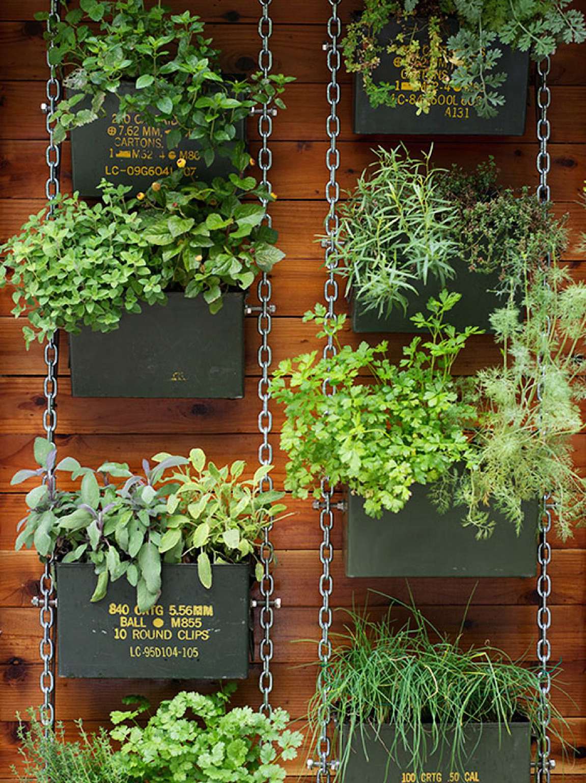 Vertical garden featuring repurposed ammunition boxes as planters.