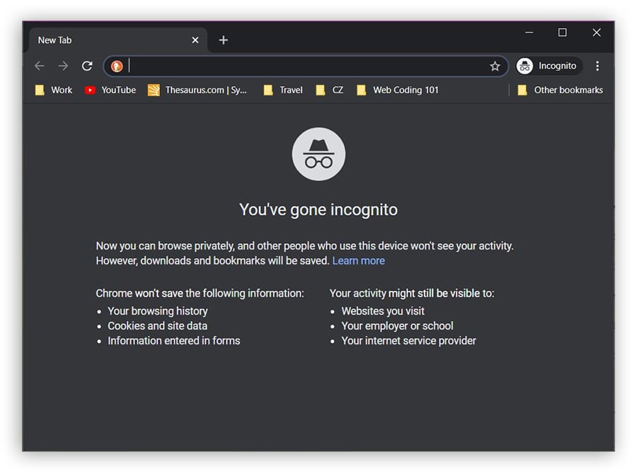 Screenshot of Google Chrome's incognito mode interface explaining what data is not saved and what might still be visible