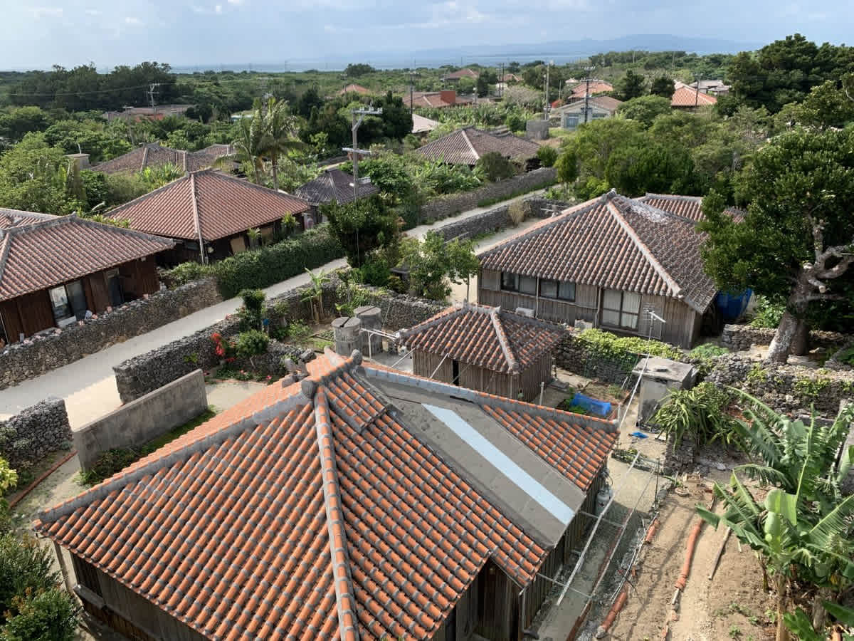 An elevated view of traditional houses with red tiled roofs and stone walls in a village on Taketomi Island