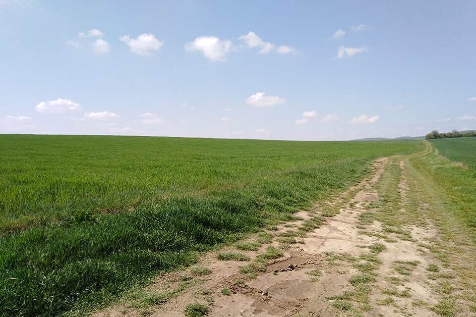 Magyar termőföldek