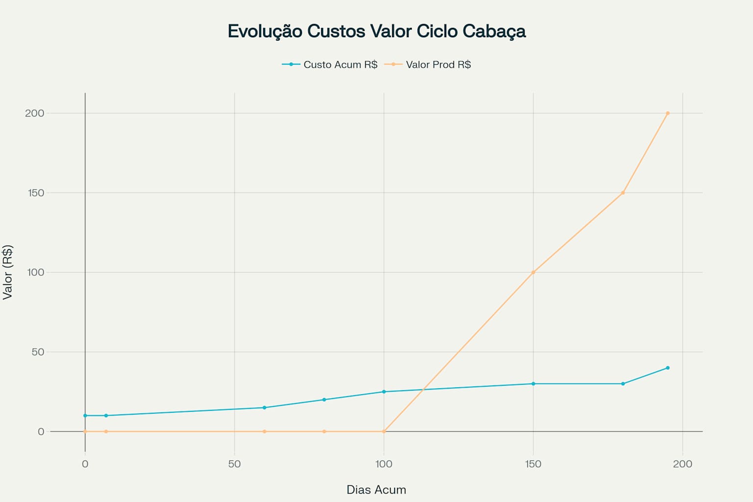 Evolução dos custos e geração de valor durante o ciclo de cultivo da cabaça