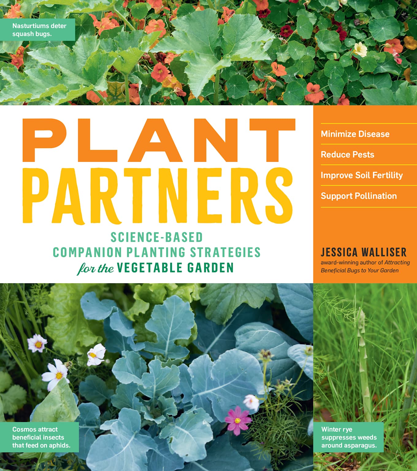 Examples of Companion Planting Strategies for Vegetable Gardens