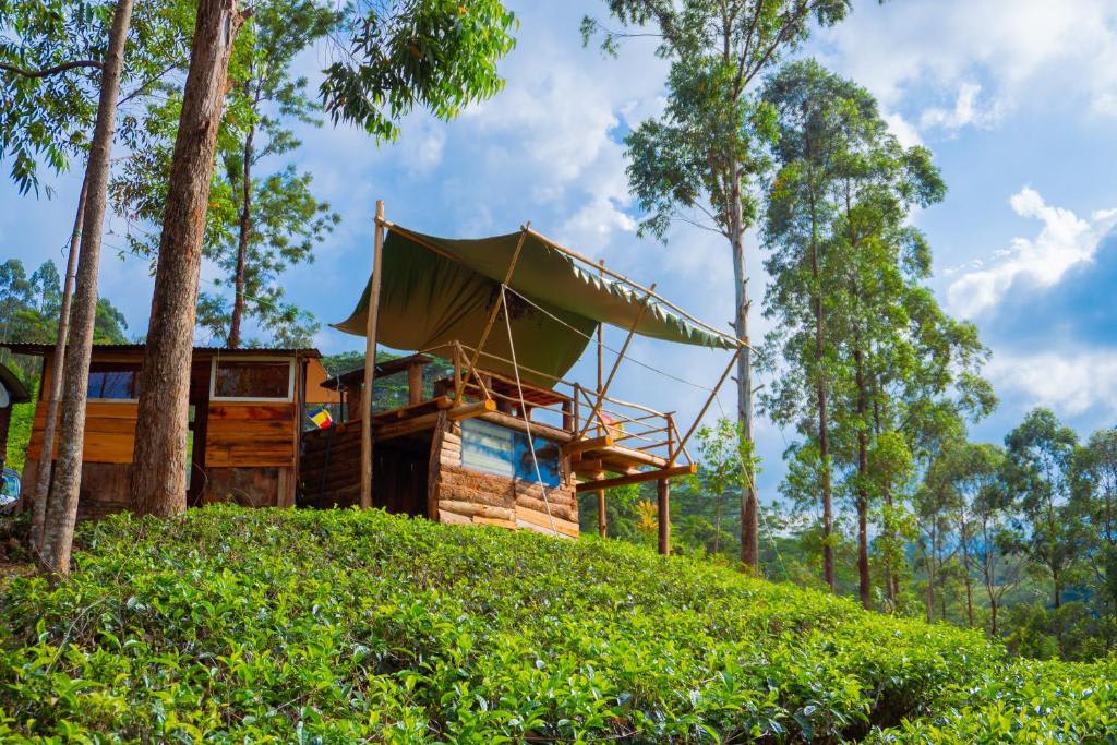 A cottage at The Tea Cottage Resort & Spa, Nawalapitiya, Sri Lanka