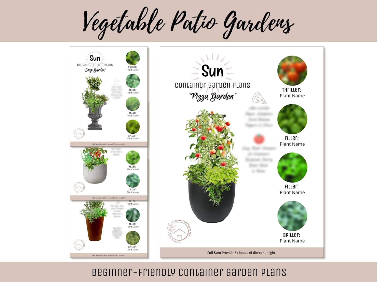Beginner-friendly container garden plans for vegetables.