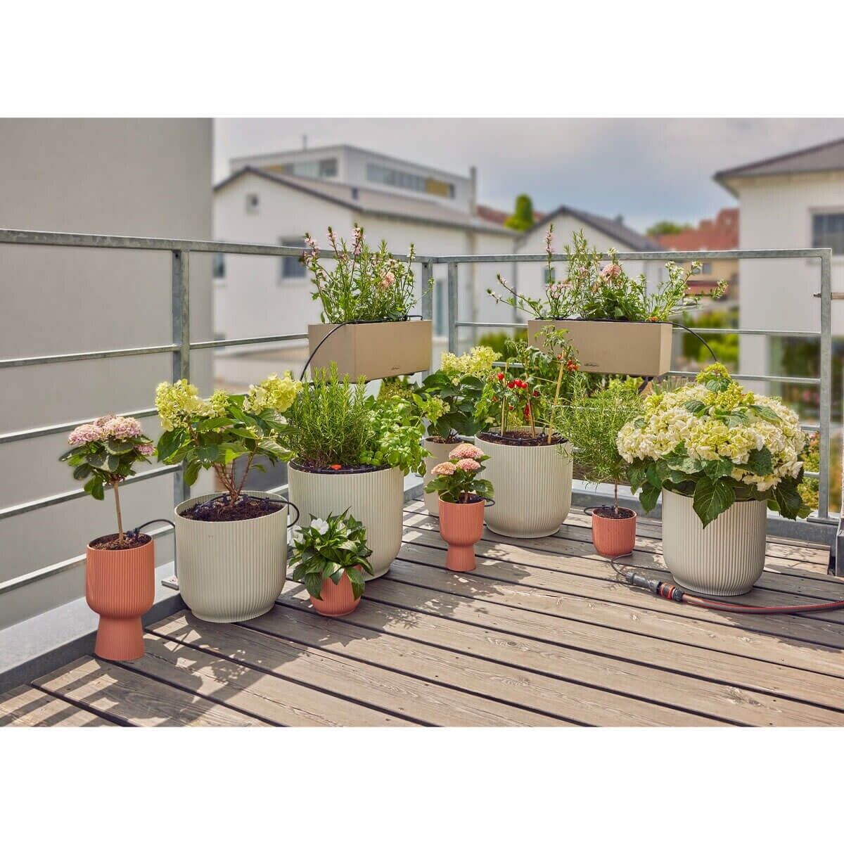 Balcony garden featuring a drip irrigation system for potted plants.