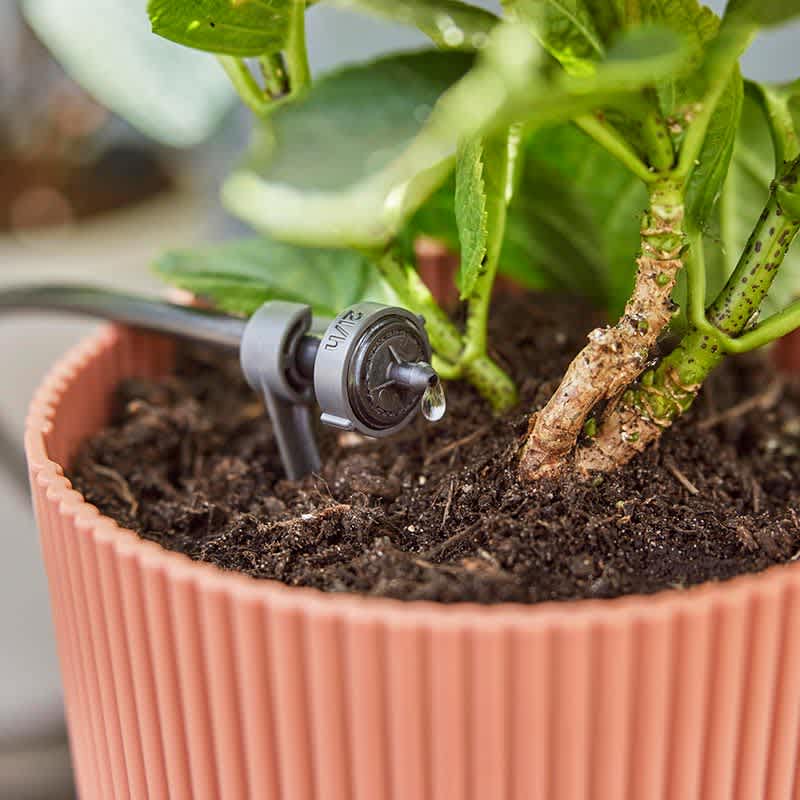 Close up of a micro-drip irrigation system watering a plant in a pot.