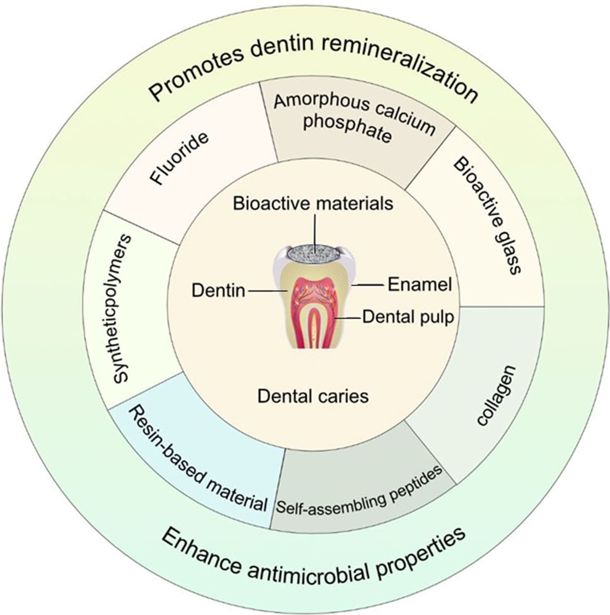 Illustration of bioactive materials promoting dentin remineralization