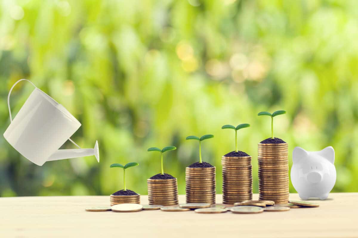 Coin stacks with growing sprouts and a watering can symbolize the growth of investments and financial wealth