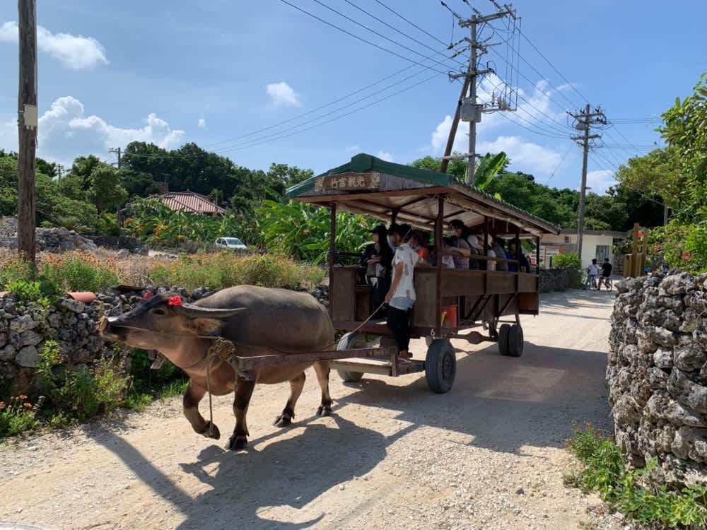 A water buffalo pulls a cart of tourists along a dirt road through a traditional village on Taketomi Island