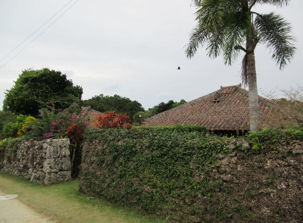 A traditional red-tiled roof house on Taketomi Island, framed by stone walls covered in lush greenery