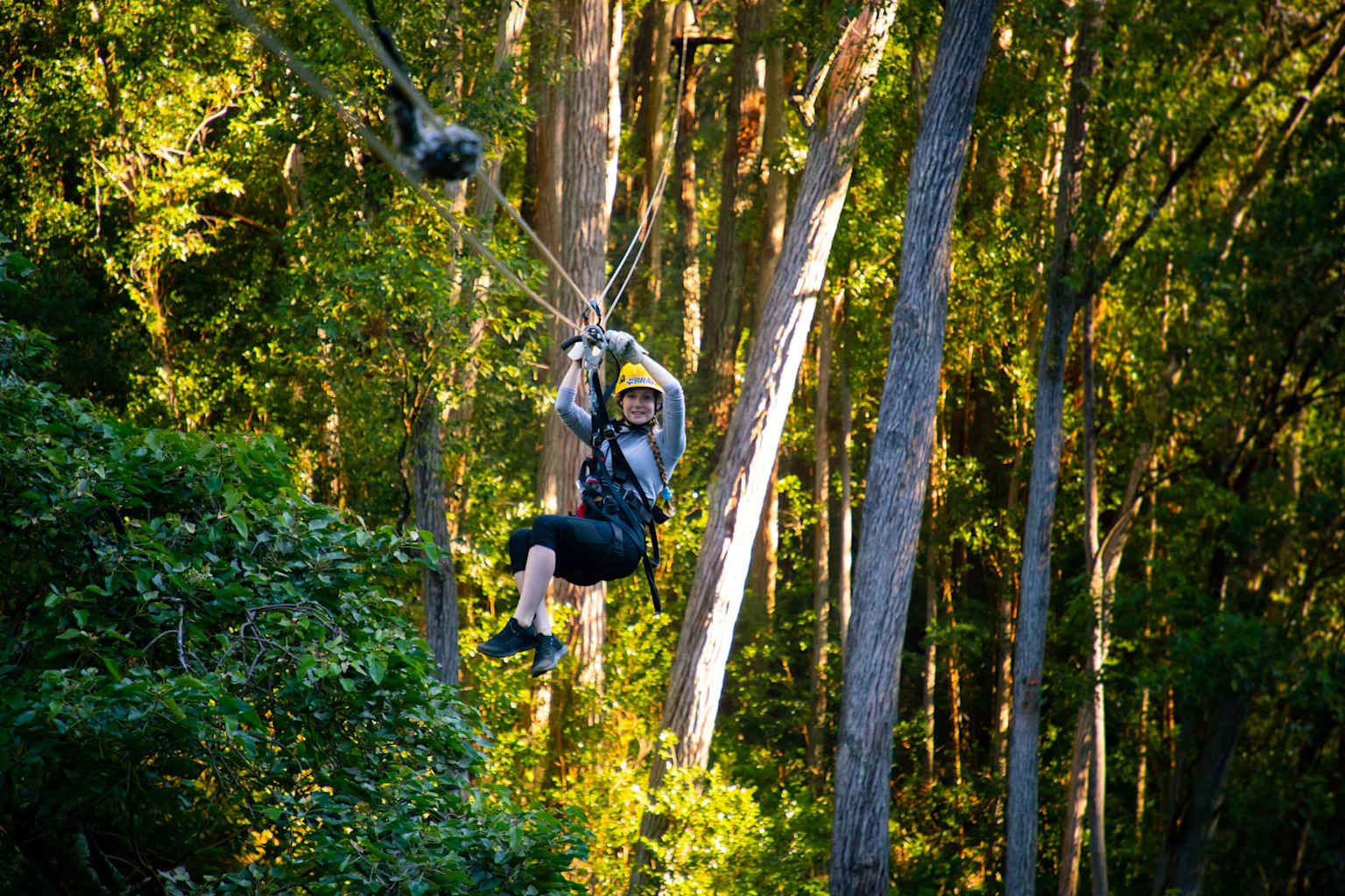 A person ziplining through the lush canopy of a Hawaiian forest