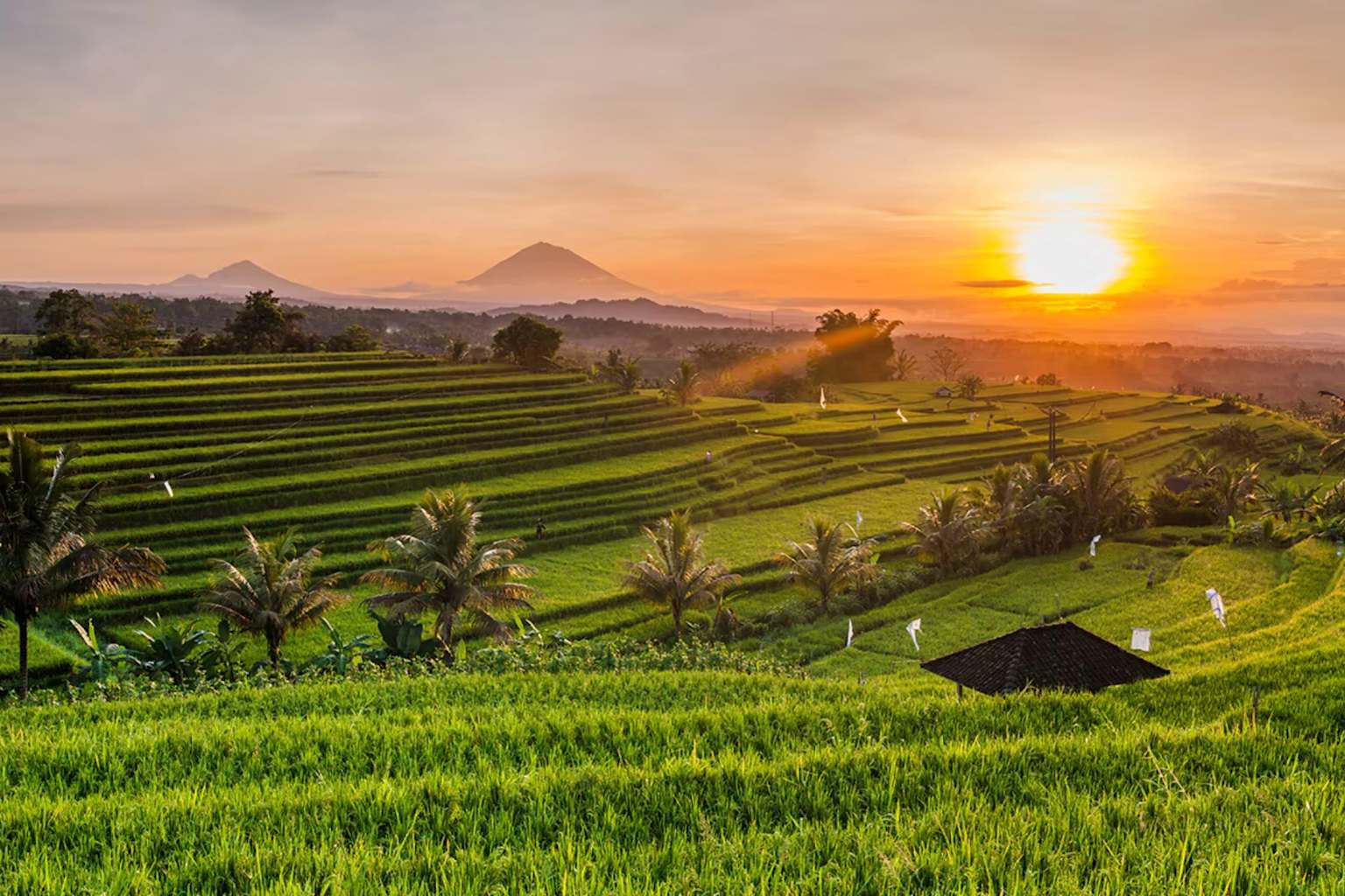 Sunset over lush green rice terraces with tropical palm trees and distant mountains, evoking a peaceful and exotic slow travel destination experience