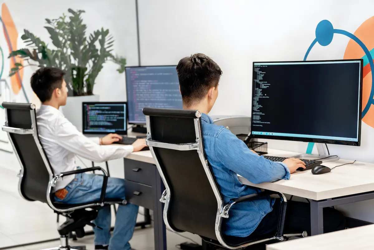 WordPress development team collaborating on coding multiple websites in a modern office environment