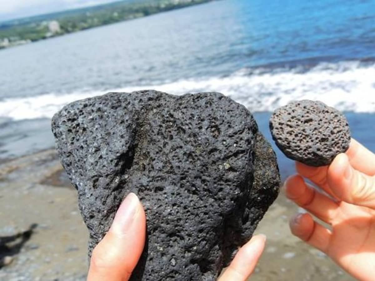 Hands holding porous black lava rocks on a Hawaiian shoreline illustrating the common but illegal practice of collecting lava rocks