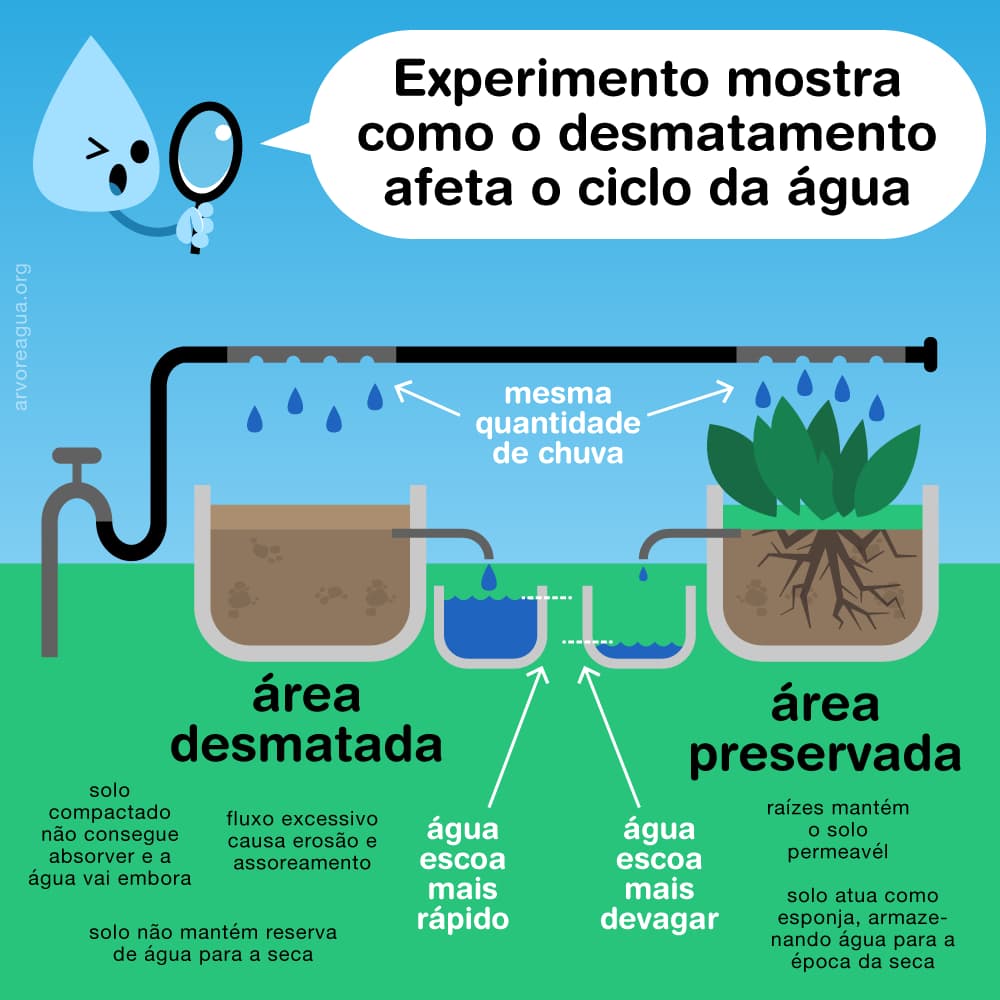 Illustration comparing water runoff and infiltration in deforested versus preserved areas, demonstrating the impact of land cover on the hydrological cycle