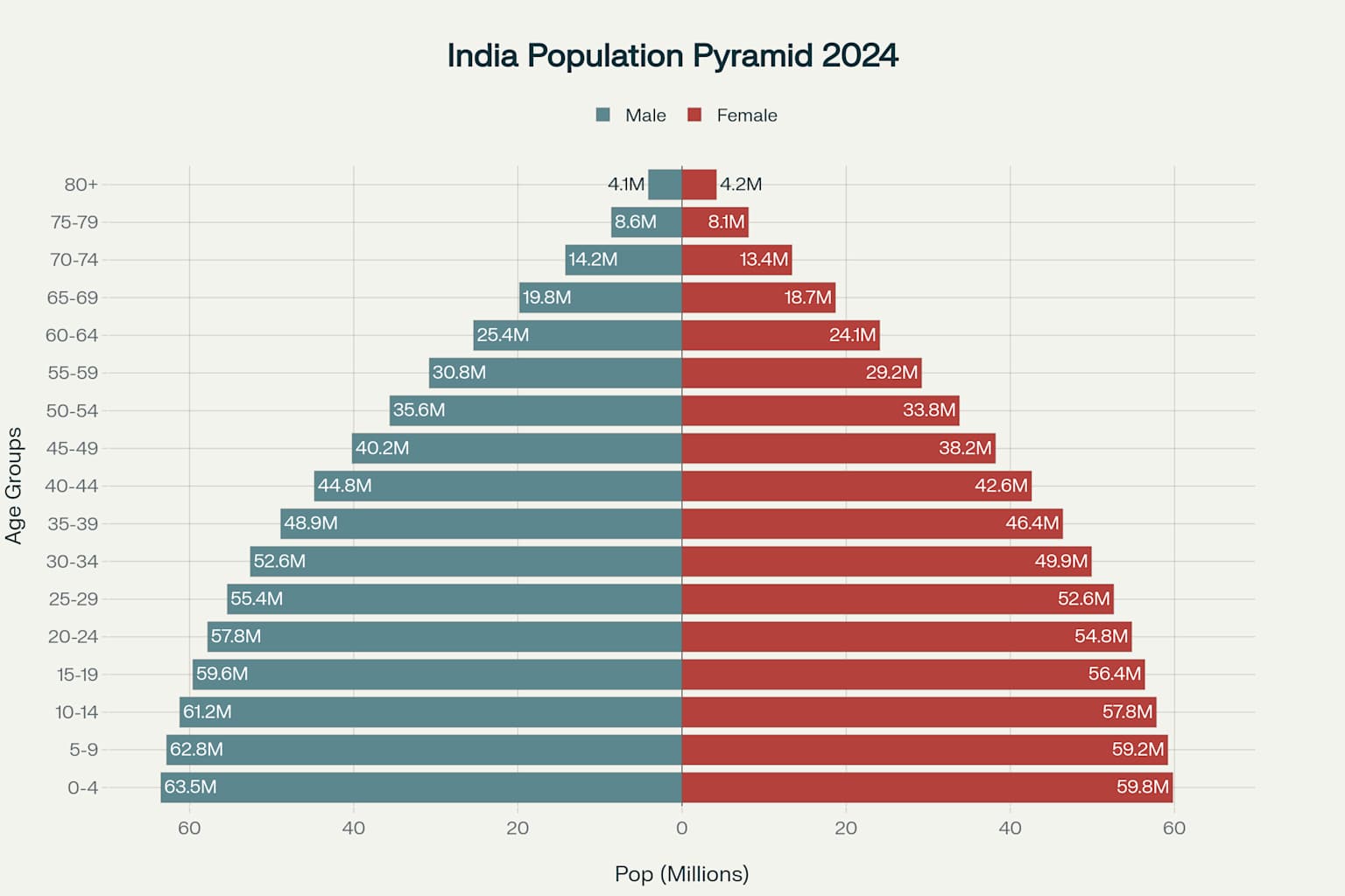 India's Population Pyramid 2024