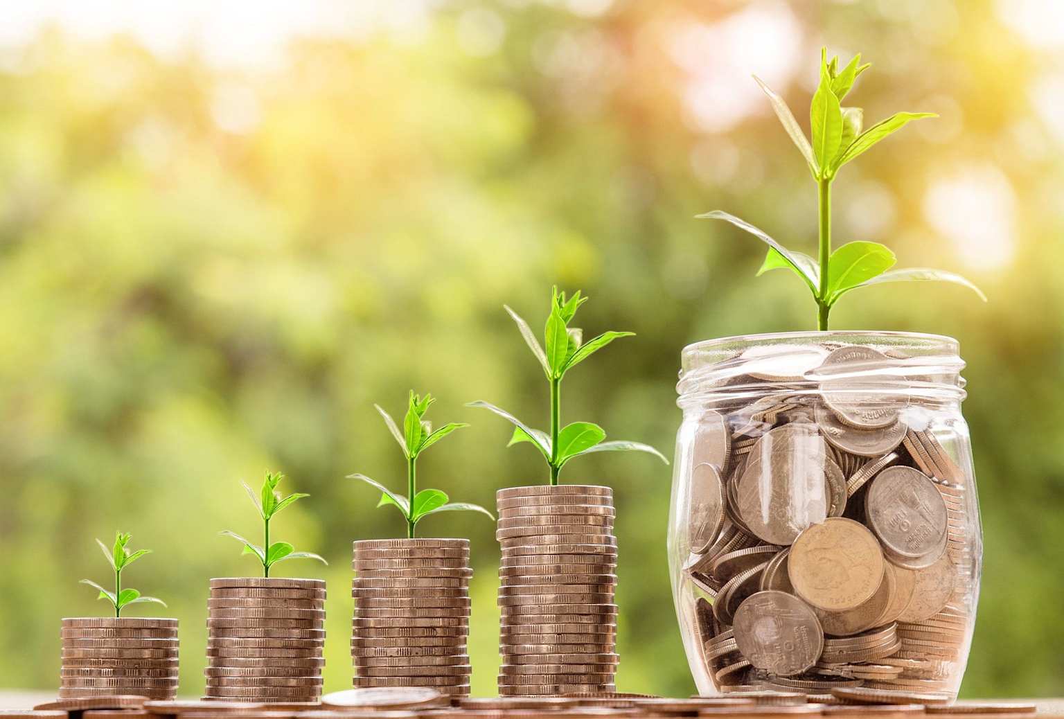 Green plants grow from stacks of coins and a jar of money, symbolizing financial growth and long-term investment