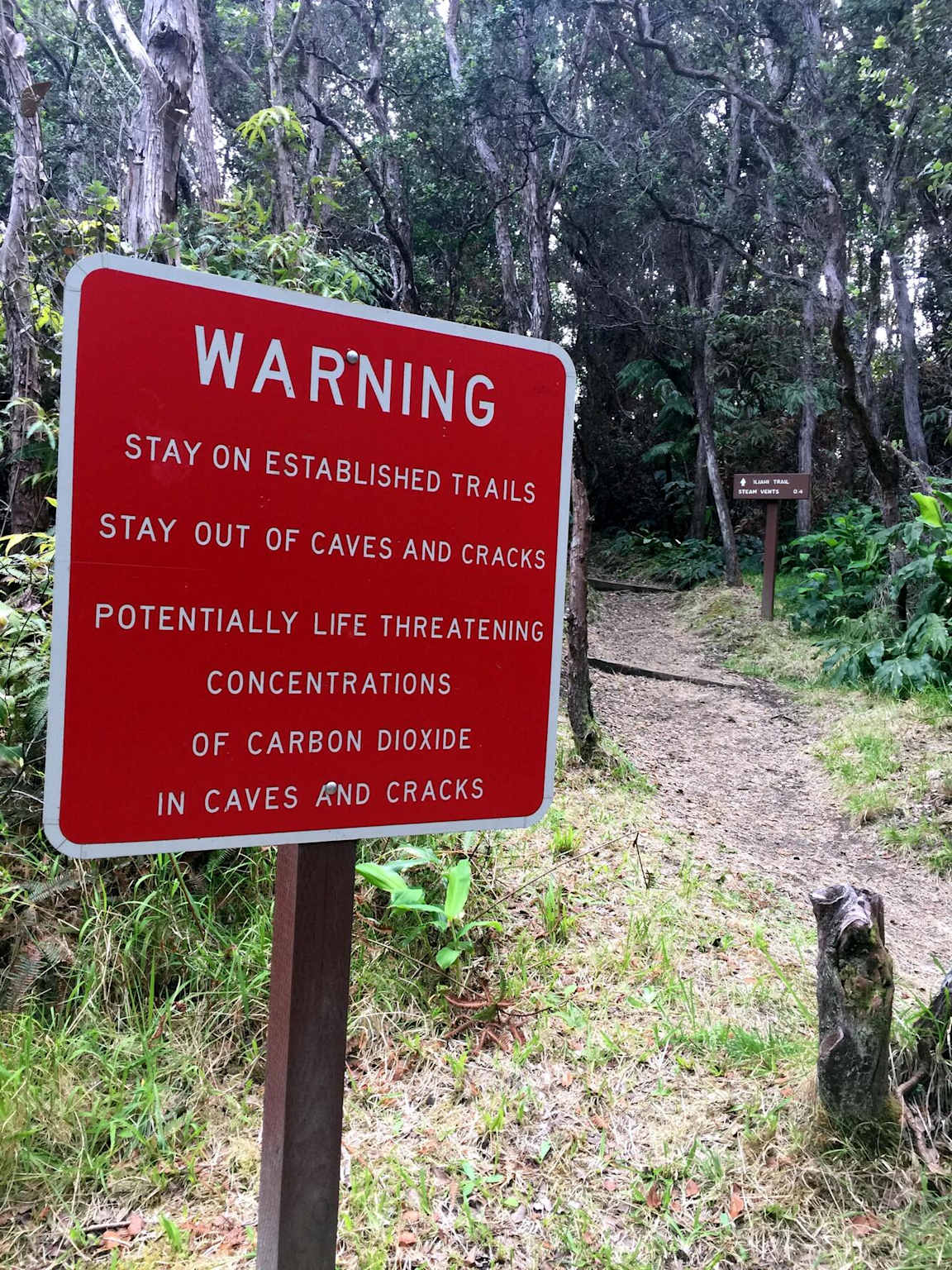 A park warning sign advises visitors to stay on established trails and avoid caves due to dangerous carbon dioxide levels in Hawaii Volcanoes National Park