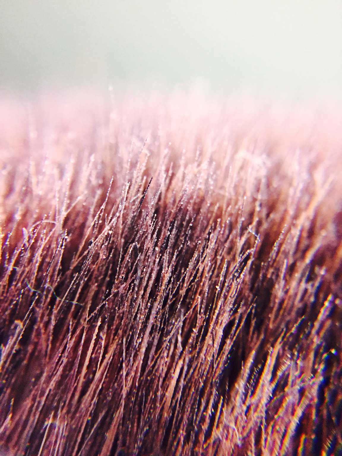 Brush Concierge founder in clean facility