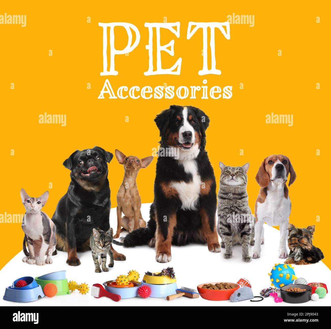 Pets e acessórios