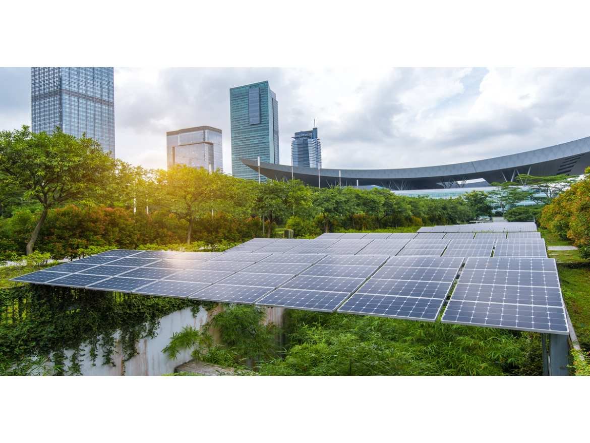 Solar panels integrated with green rooftop vegetation in a modern urban setting demonstrating sustainable building practices