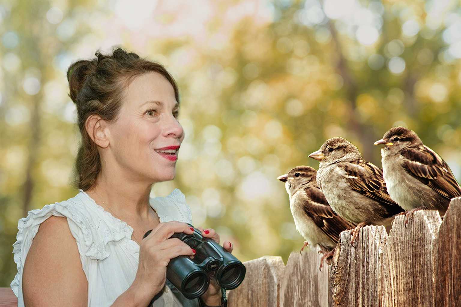 A woman holding binoculars watches small birds perched on a wooden fence, illustrating the experience of birdwatching tourism.