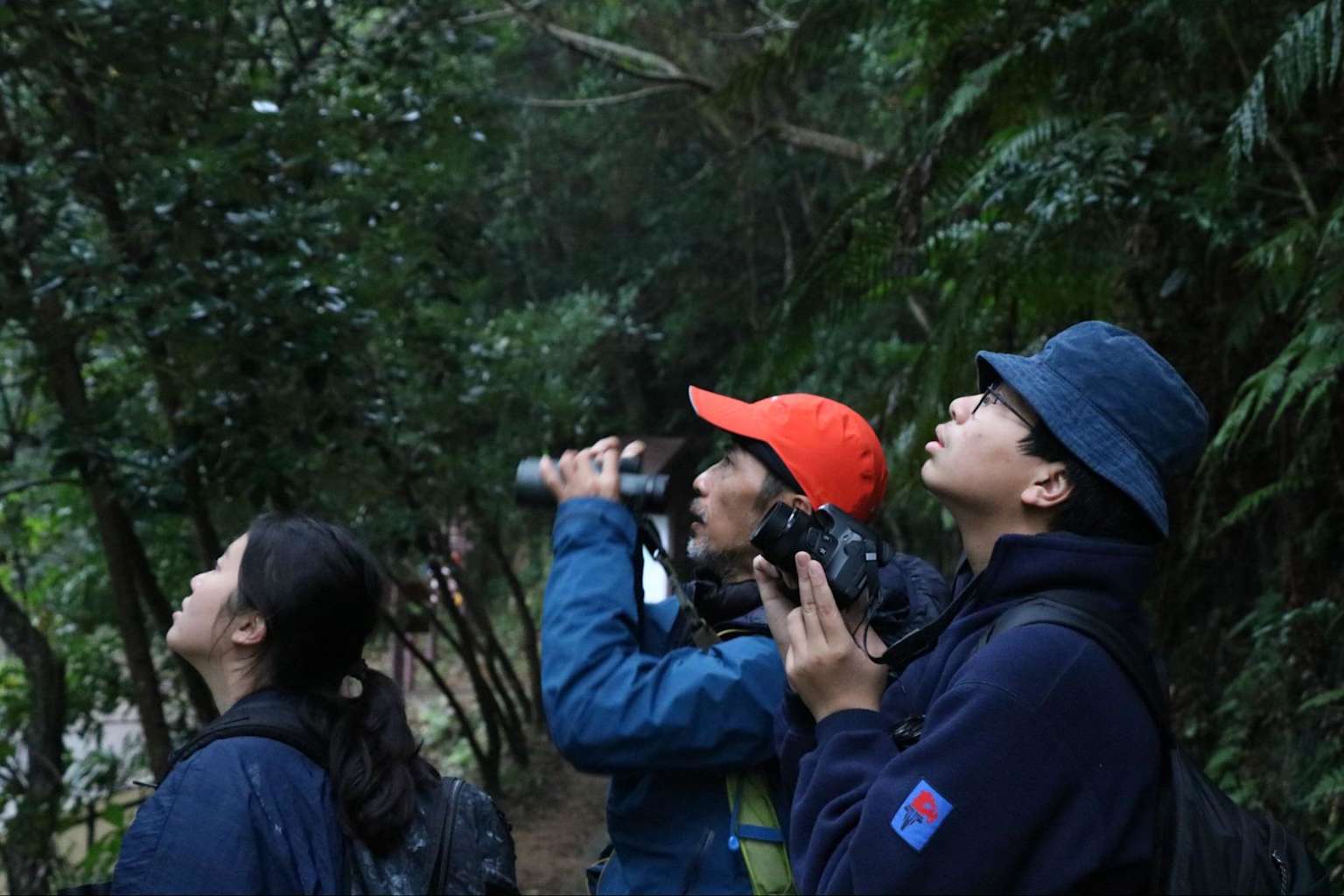 A diverse group of people birdwatching in a forest, illustrating ecotourism and sustainable tourism practices.