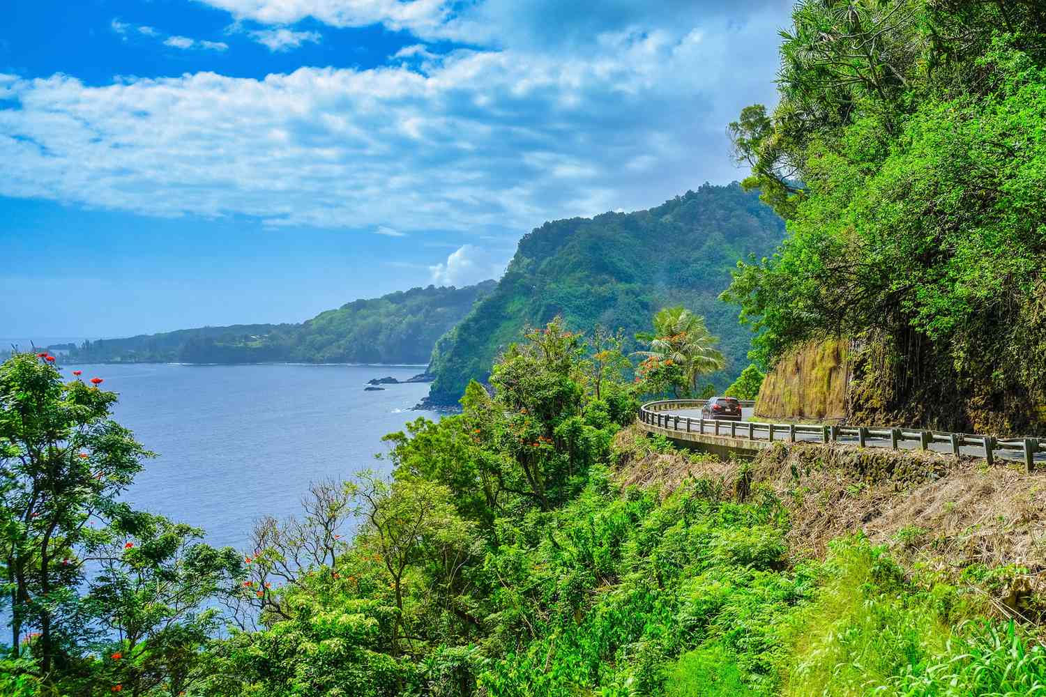 Scenic coastal drive on Maui's Road to Hana showcasing lush greenery and ocean views ideal for rental car exploration