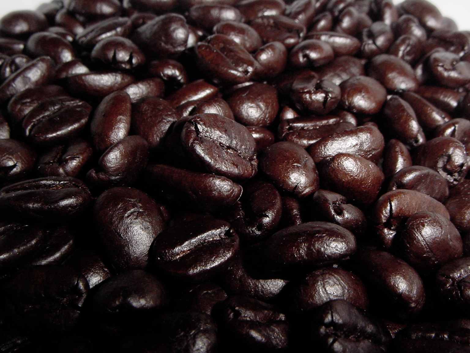 Grains de café torréfaction signature