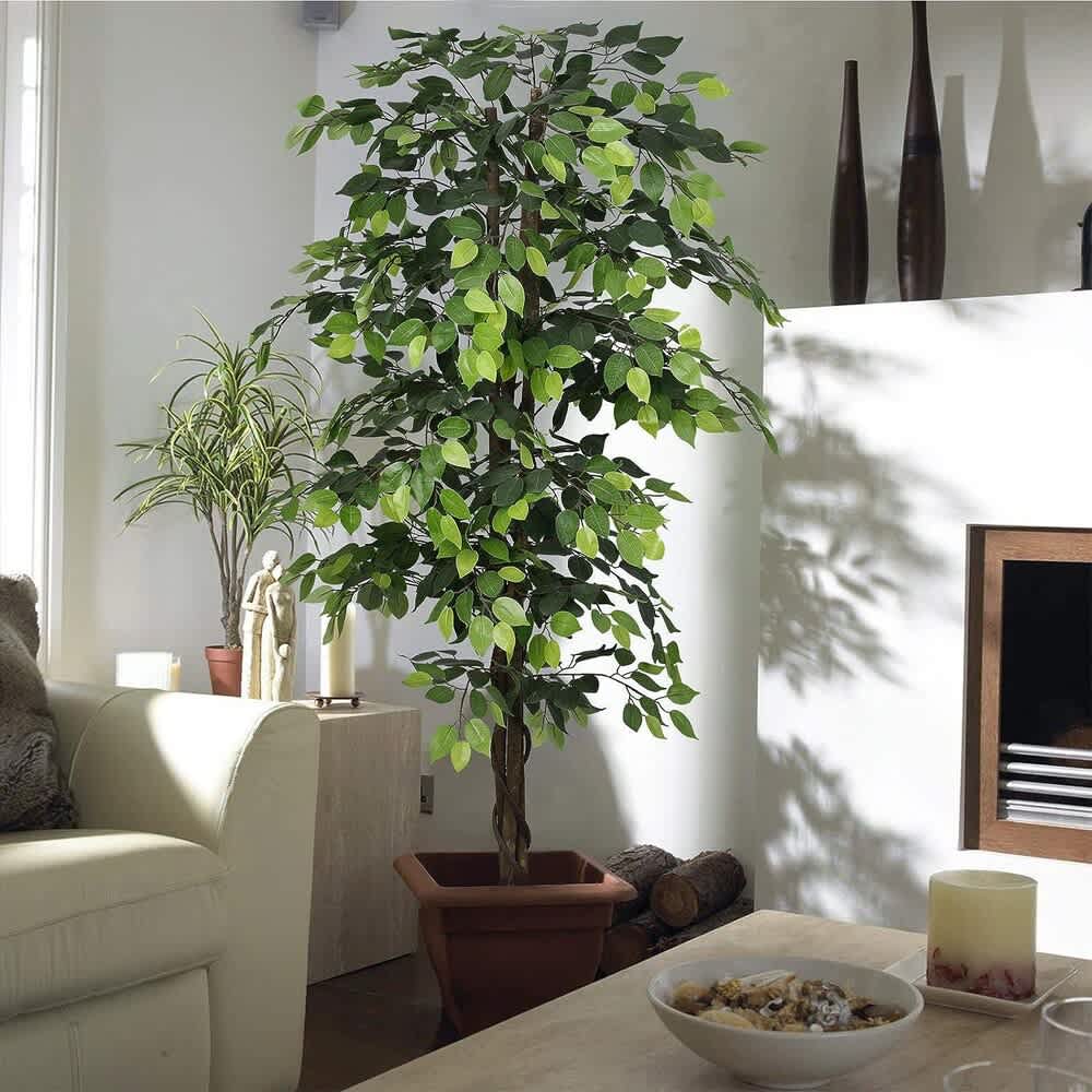 Premium artificial indoor plant in living room