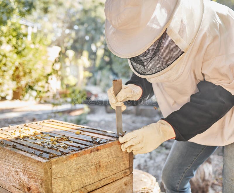 Beekeeper