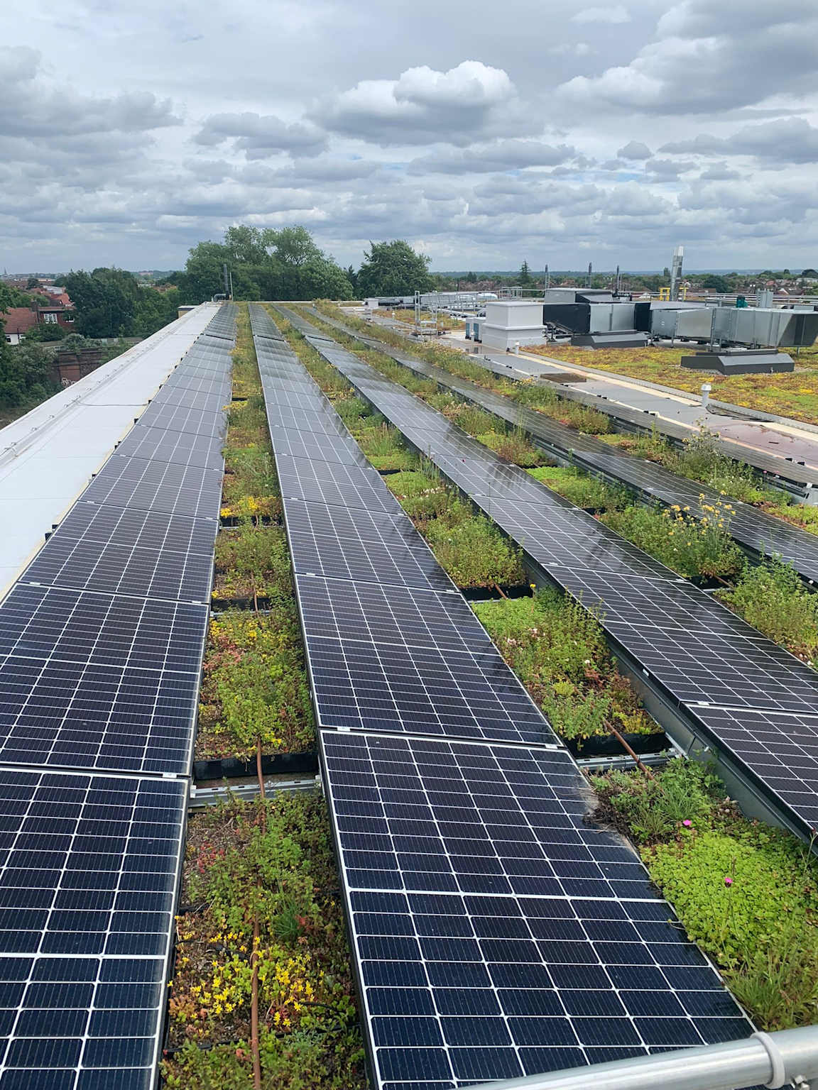 Biaya Instalasi Solar