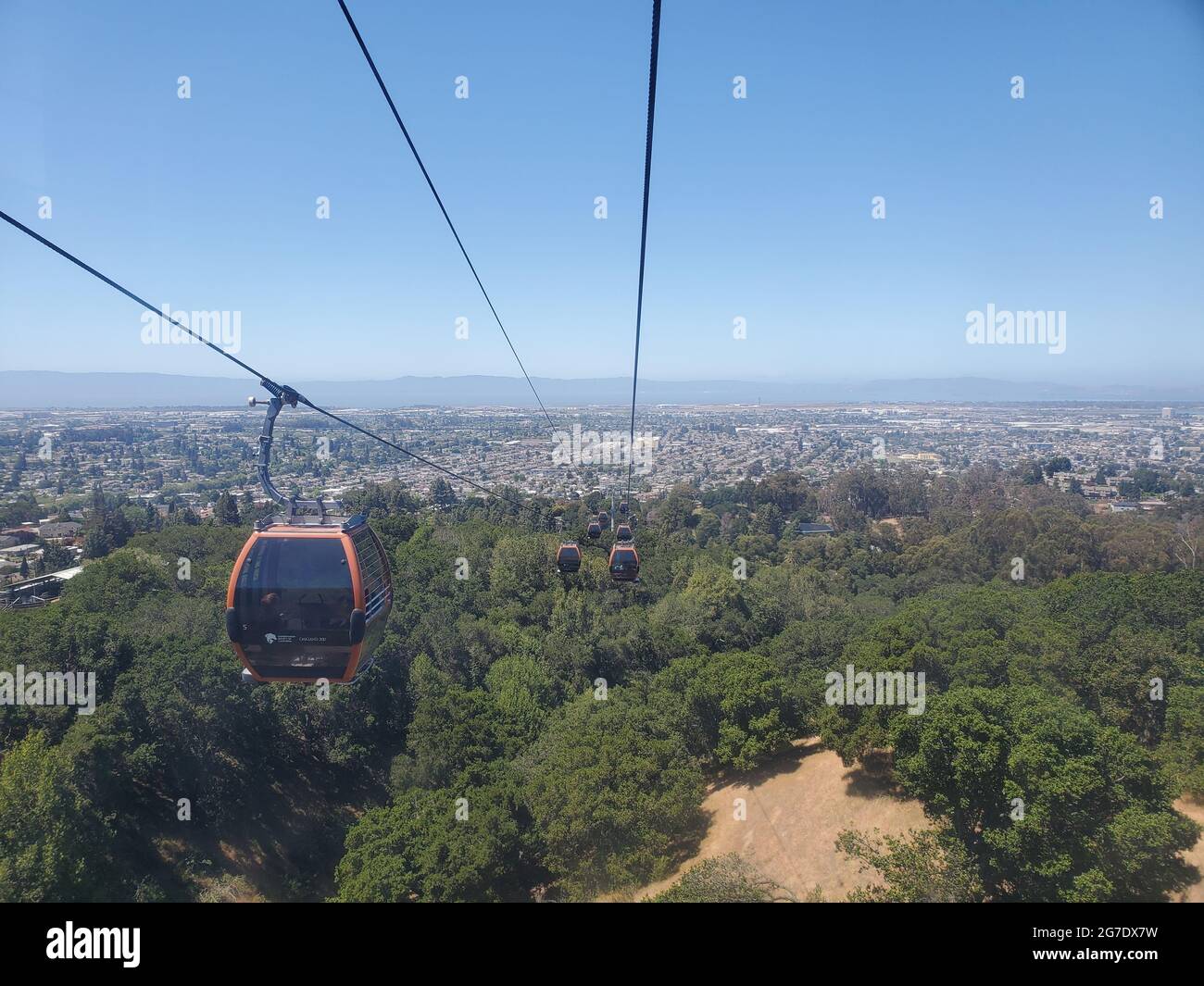 Aerial view from the Oakland Zoo gondola showing gondola cabins traveling over trees towards the distant city skyline