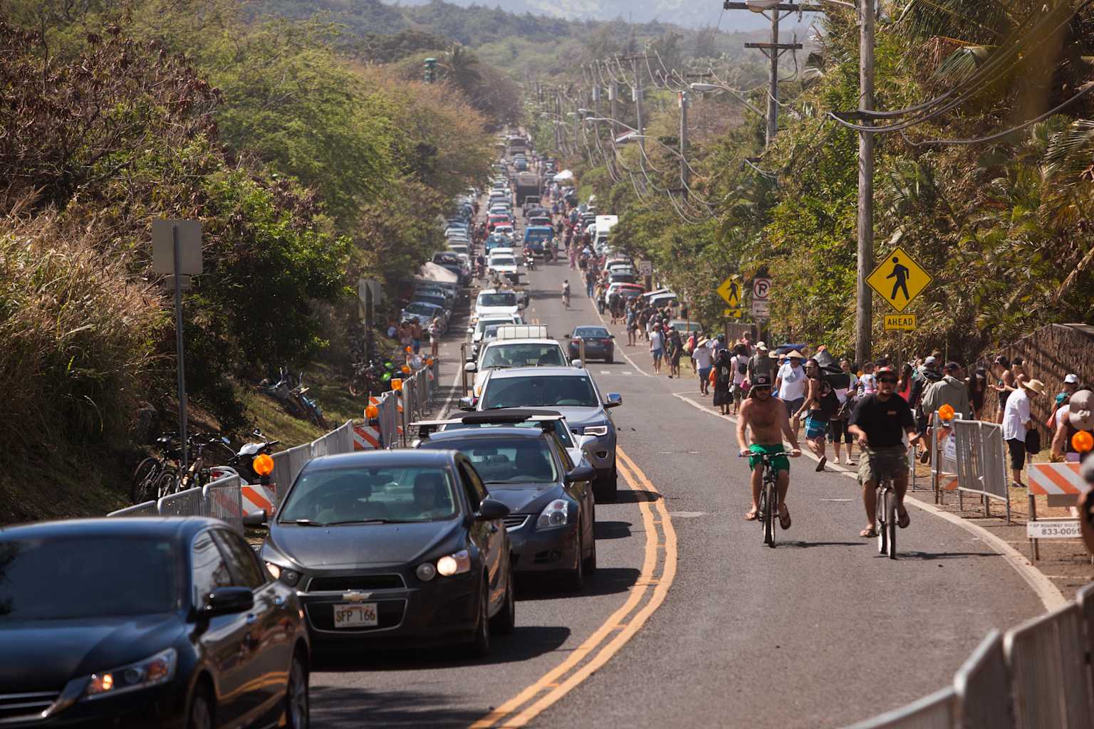Heavy traffic congestion on a Hawaiian road shared by cars, cyclists, and pedestrians illustrates local traffic challenges faced by residents