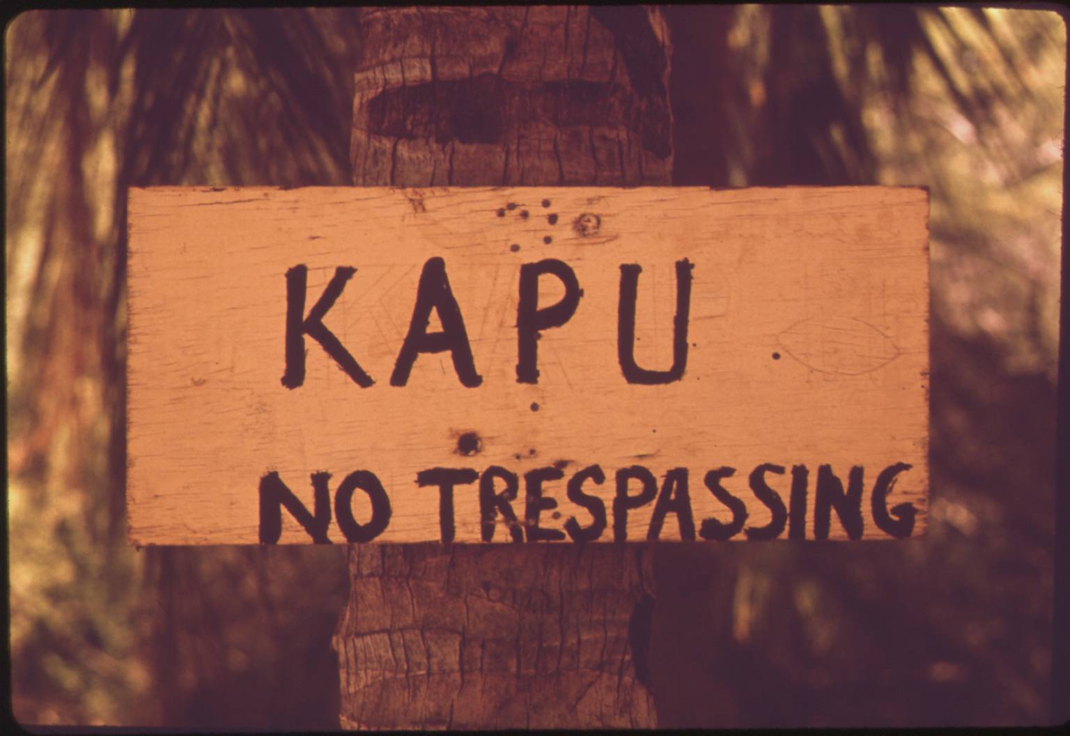 Wooden sign displaying 'KAPU NO TRESPASSING' as a reminder of sacred Hawaiian site restrictions