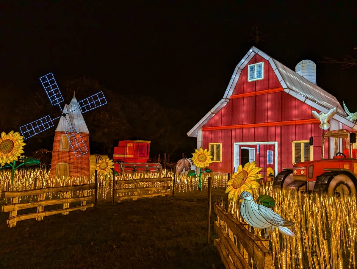 Glowfari lantern festival at Oakland Zoo features illuminated farm-themed lanterns, including a barn, windmill, and tractor