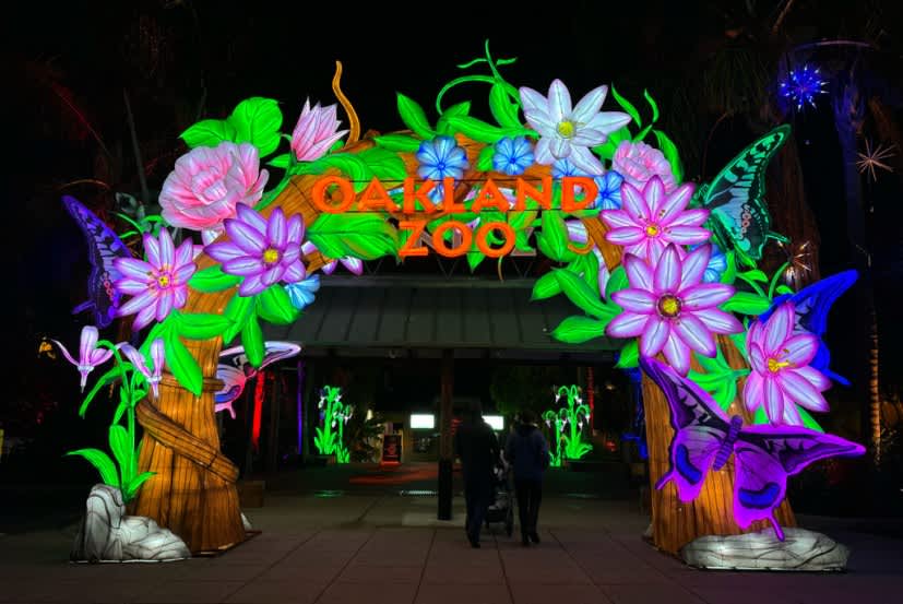 Illuminated Oakland Zoo entrance decorated with colorful lantern flowers and butterflies for the Glowfari festival at night