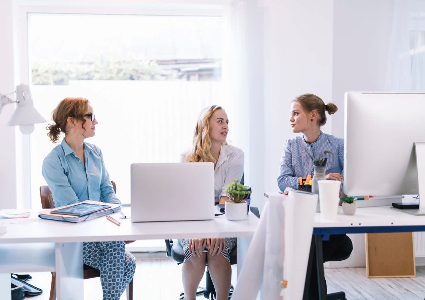 A team of professionals working collaboratively in a modern office, illustrating the teamwork behind white-label WordPress development services