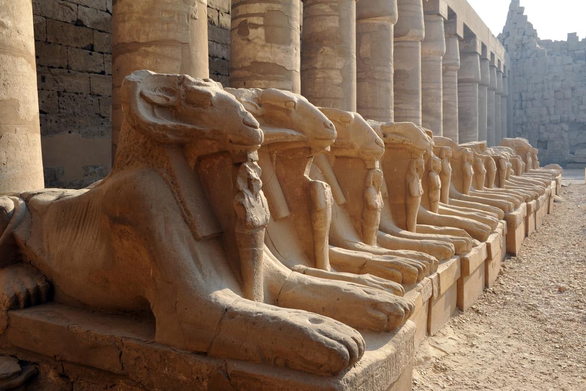 Row of ram-headed sphinx statues representing the god Amon at an ancient Egyptian temple.