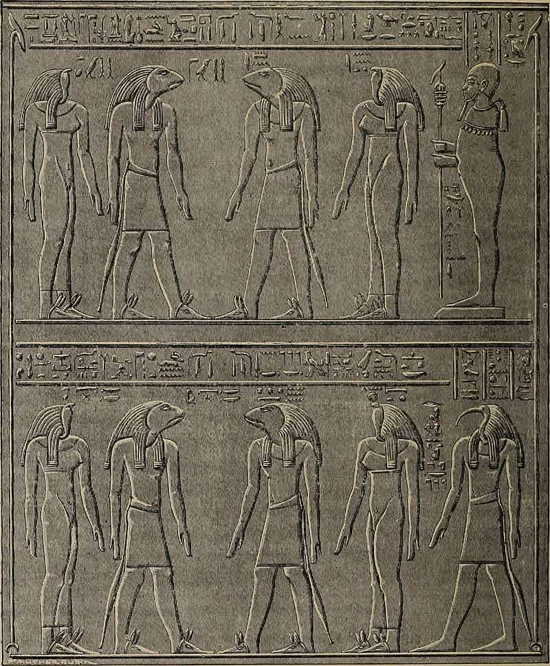 Ancient Egyptian relief depicting the Ogdoad of Hermopolis, eight primordial deities including Amon and Amonet, with hieroglyphic text.