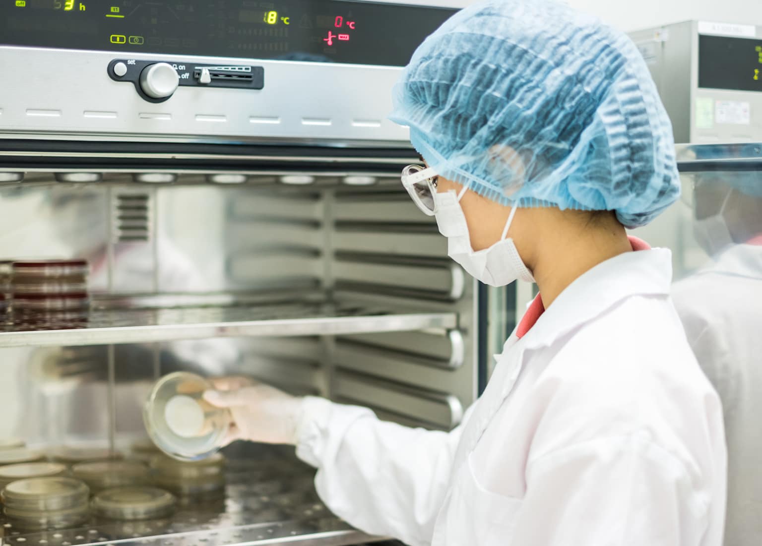Laboratory technician handling petri dishes in an incubator for microbiological testing