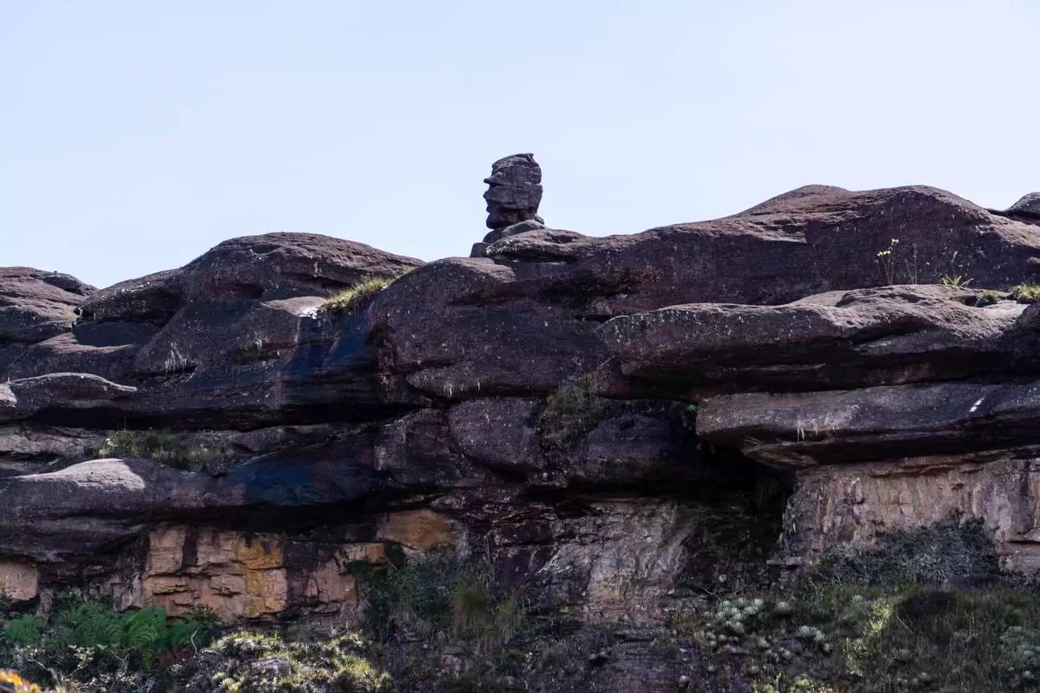 Mount Roraima's summit plateau with distinctive black rock formations and a unique profile-shaped rock