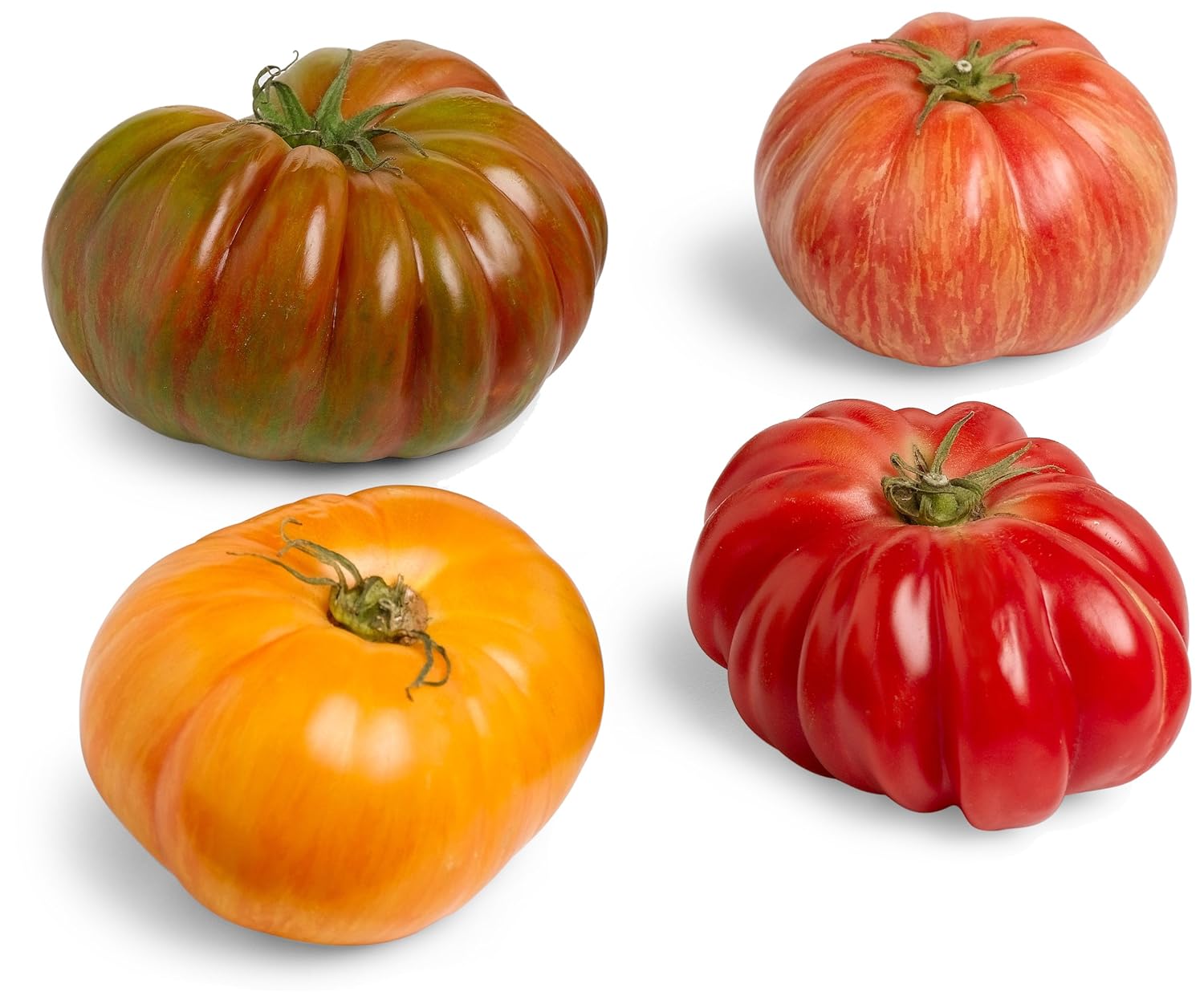 Four visually distinct heirloom tomatoes showcasing natural colors and ribbed shapes typical of traditional varieties