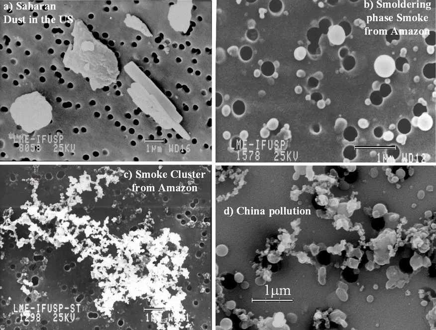 Microscopic images of diverse particulate matter from environmental sources highlighting the variety of airborne particles relevant to compressed air contamination