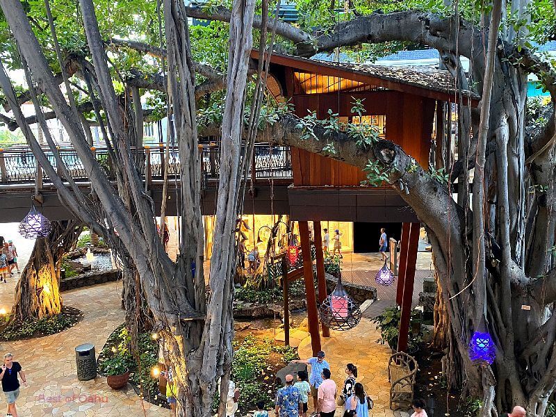 The original banyan tree at Waikiki International Market Place surrounded by lanterns and visitors