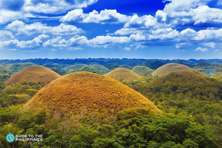 Scenic view of the Chocolate Hills in Bohol, Philippines, a unique natural attraction perfect for couples seeking romance and tranquility